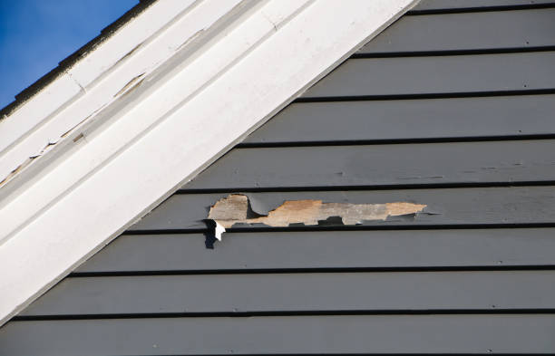 Best Shed Removal  in Oneonta, NY